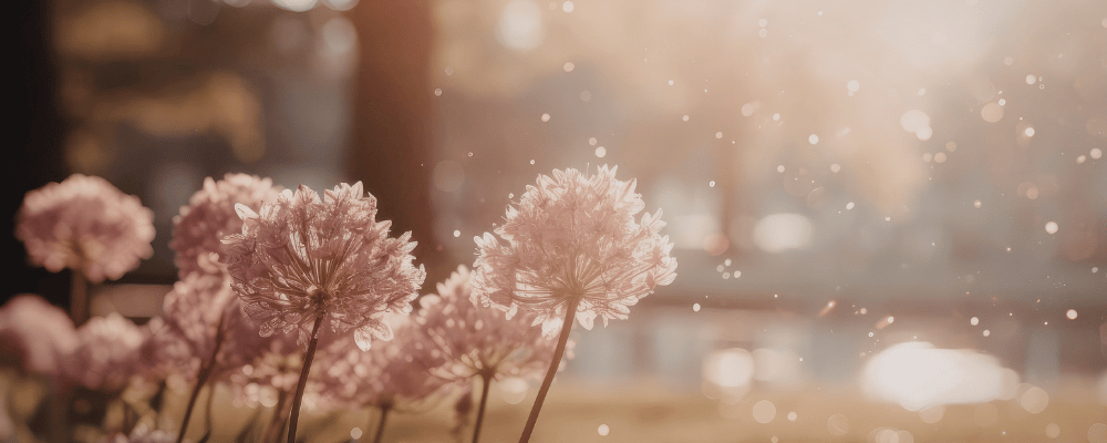 北九州・下関　アートメイク看護師　吉村ひろ美（よしむらひろみ）　提携クリニックはこちら。　光に向かって咲く花。輝く女性を象徴しています。